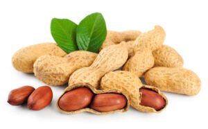 Illegal Peanut Factory Sealed in Peshawar’s Chamkani Area