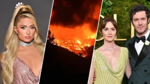 Paris Hilton, Adam Brody Among Celebrities Who Lose Homes in Devastating Wildfires
