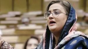 Azma Bokhari Condemns Hassan Niazi’s Actions, Cites Troubling Pattern of Behavior