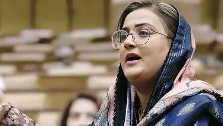 Azma Bokhari Condemns Hassan Niazi’s Actions, Cites Troubling Pattern of Behavior
