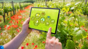Pakistan’s Quiet Revolution: Achievements in Agriculture and Technology