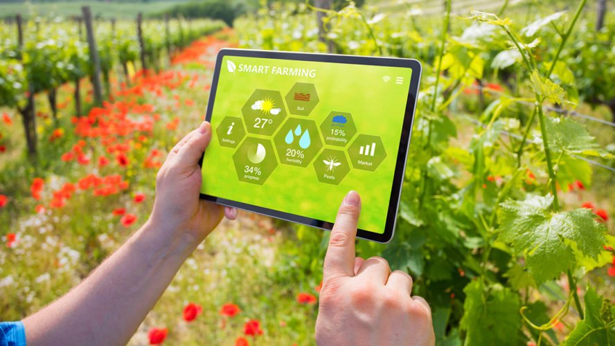 Pakistan’s Quiet Revolution: Achievements in Agriculture and Technology